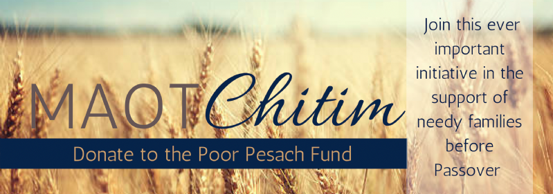 Passover Fundraiser Campaign